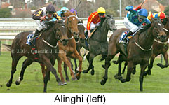 Alinghi (18005 bytes)