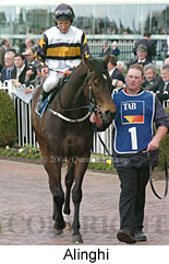 Alinghi (18005 bytes)