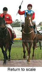 Return to scale (14925 bytes)