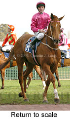 Return to scale (14925 bytes)