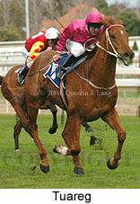 Tuareg (18005 bytes)