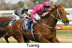 Tuareg (18005 bytes)