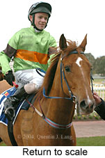 Return to scale (14925 bytes)