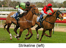 Strikeline (18005 bytes)