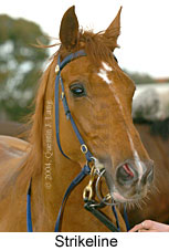 Strikeline (18005 bytes)