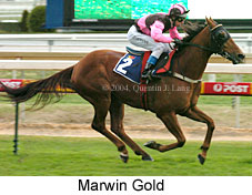 Marwin Gold (18005 bytes)