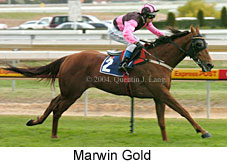 Marwin Gold (18005 bytes)