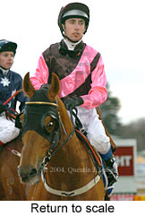 Return to scale (14925 bytes)