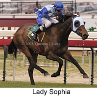 Lady Sophia (16766 bytes)