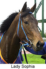 Lady Sophia (13064 bytes)
