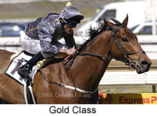 Gold Class (15984 bytes)