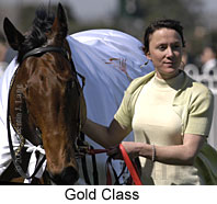 Gold Class (13623 bytes)