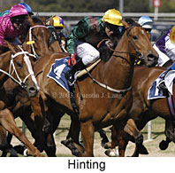 Hinting (19183 bytes)