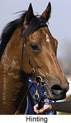 Hinting (11900 bytes)