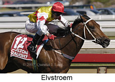 Elvstroem (15605 bytes)