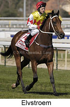 Elvstroem (13575 bytes)