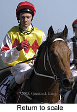 Return to scale (13601 bytes)