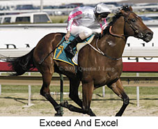 Exceed and Excel (18166 bytes)