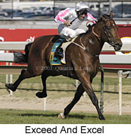 Exceed and Excel (15941 bytes)