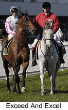 Exceed and Excel (14300 bytes)