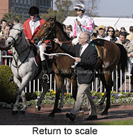 Return to scale (18163 bytes)