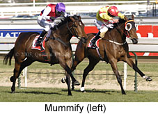 Mummify (18611 bytes)