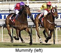 Mummify (17663 bytes)