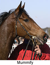 Mummify (13708 bytes)