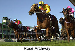 Rose Archway (18305 bytes)