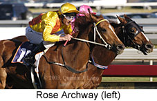 Rose Archway (15957 bytes)