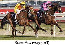 Rose Archway (18388 bytes)