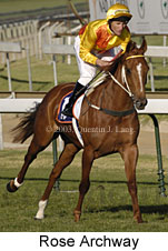 Rose Archway (15232 bytes)