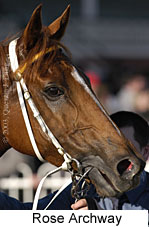 Rose Archway (12740 bytes)