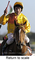 Return to scale (13713 bytes)