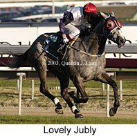 Lovely Jubly (17321 bytes)