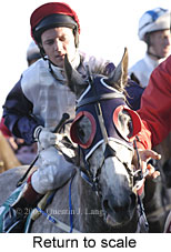 Return to scale (15481 bytes)