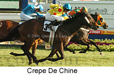 Crepe De Chine (16193 bytes)