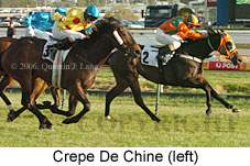 Crepe De Chine (16193 bytes)