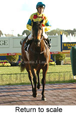 Return to scale (16492 bytes)