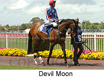 Devil Moon (16193 bytes)