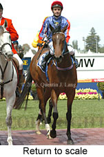 Return to scale (16492 bytes)