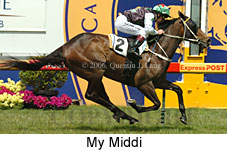 My Middi (16193 bytes)