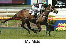 My Middi (16193 bytes)