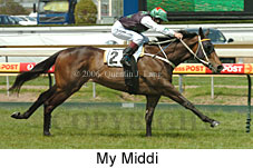 My Middi (16193 bytes)