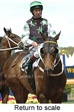 Return to scale (16492 bytes)