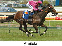 Amitola (16193 bytes)