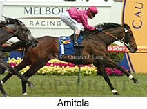 Amitola (16193 bytes)