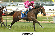 Amitola (16193 bytes)