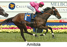 Amitola (16193 bytes)