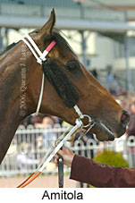 Amitola (16193 bytes)